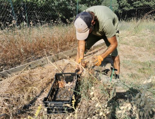 Les jardiniers au fil des saisons – Août 2024