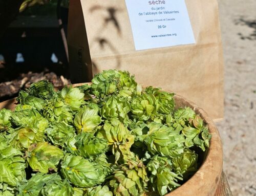 Vente exceptionnelle de houblon séché